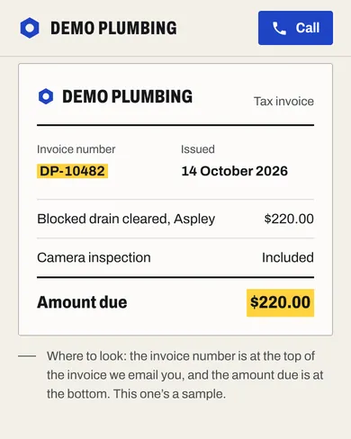 Demo Plumbing's sample invoice, showing where to find the invoice number and the amount due before paying online.